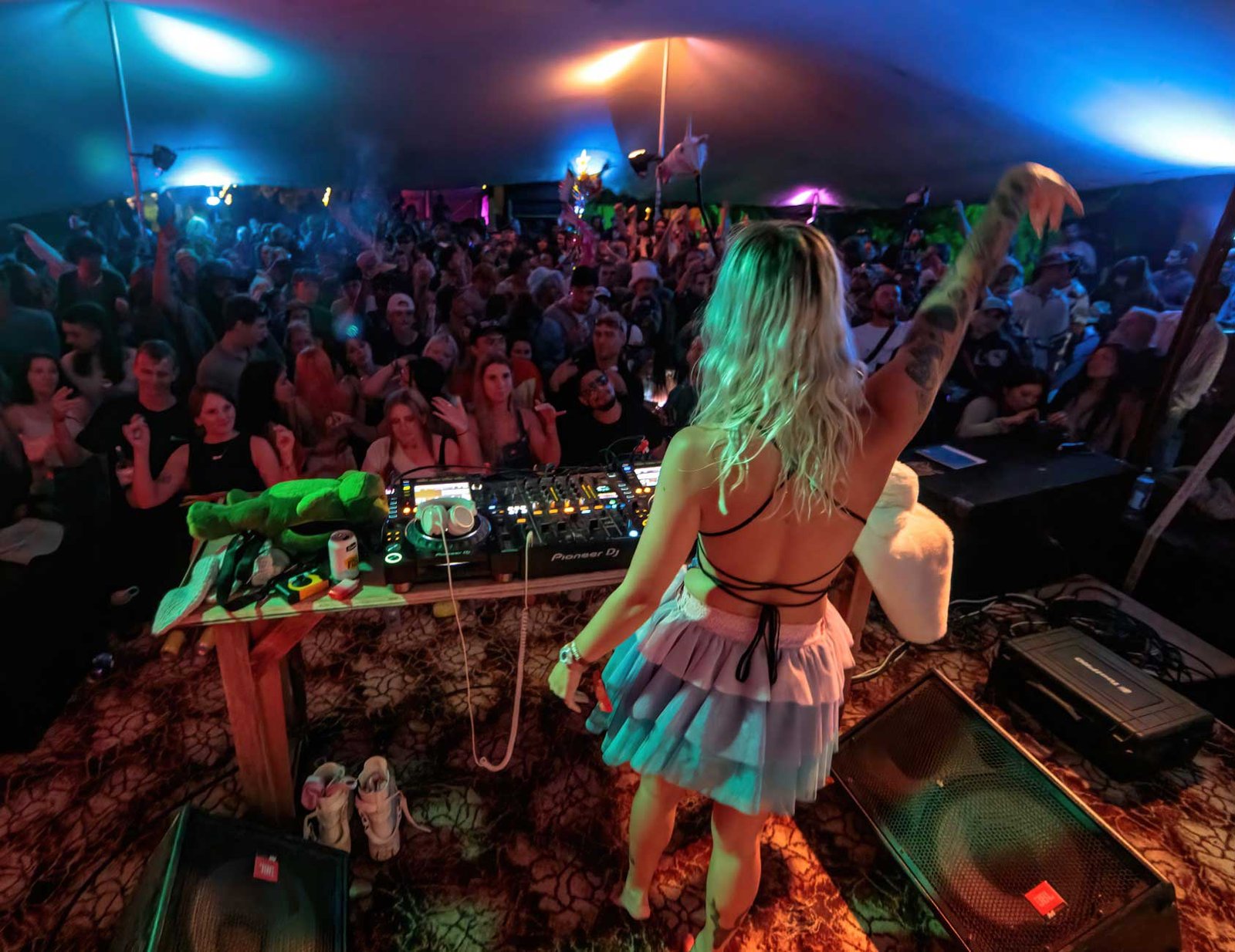 Twisted Frequency Festival